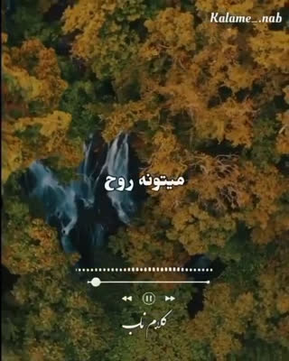 بهترین هدیه برای اموات