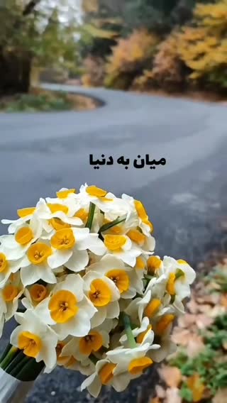 انتظار اموات
